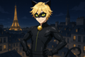 Cat Noir / Adrien Agreste